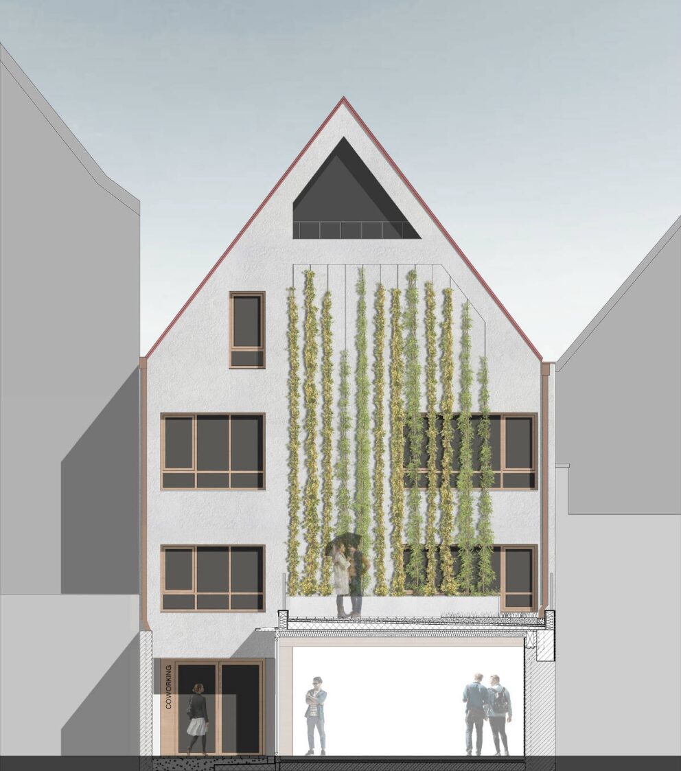 Fassade_Ost-2024